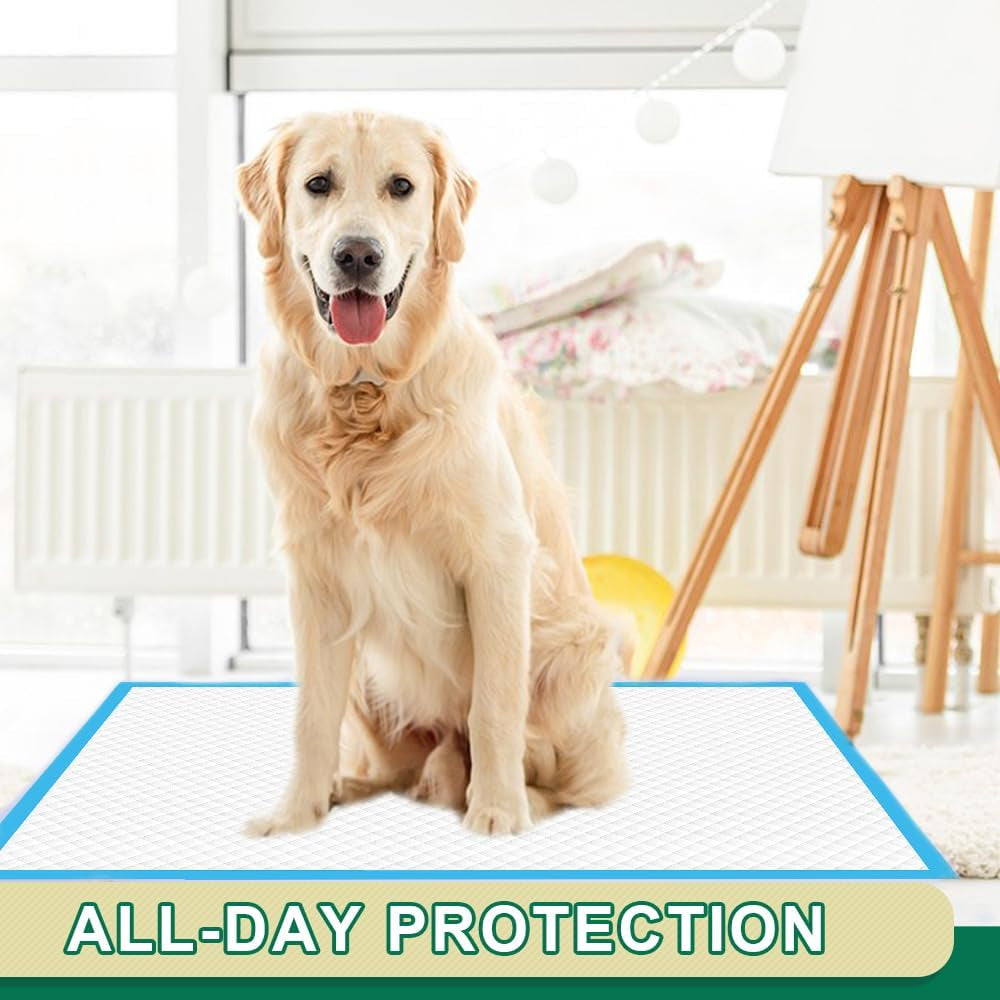 Dog Pee Pads and Puppy Training Pads Super Absorbent & Heavy Duty Potty Pads for Dogs and Pet Pads (Regular 22"X23", 100 Count)