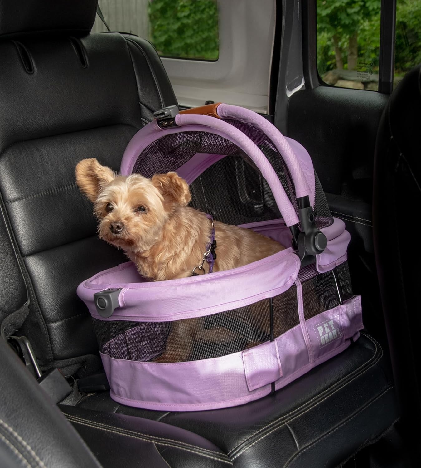No-Zip View 360 Ultra Lite Pet Safety Carrier and Car Seat for Small Dogs and Cats, Snap-Button Entry, 15 Inches, Bright Purple