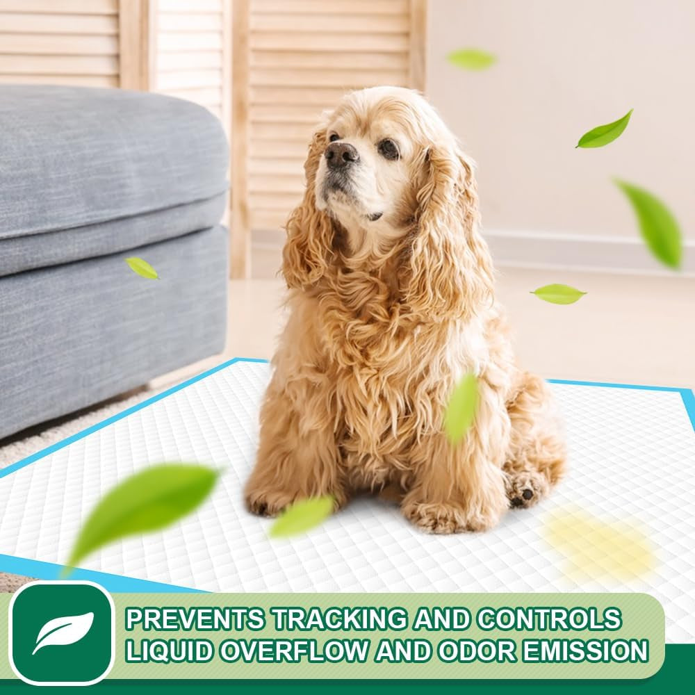 Dog Pee Pads and Puppy Training Pads Super Absorbent & Heavy Duty Potty Pads for Dogs and Pet Pads (Regular 22"X23", 100 Count)