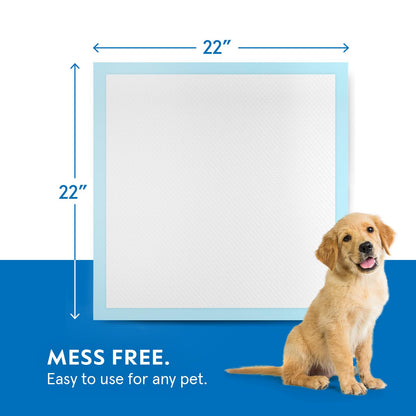 Pee Pads for Dog & Puppy Training [100-COUNT] Pet Potty Pads for Small Dogs 22" X 22" Leak-Proof Design - Quick-Dry Surface - Heavy Duty Absorbent Disposable Wee Pad - Dog & Puppy Products Bulk Pack