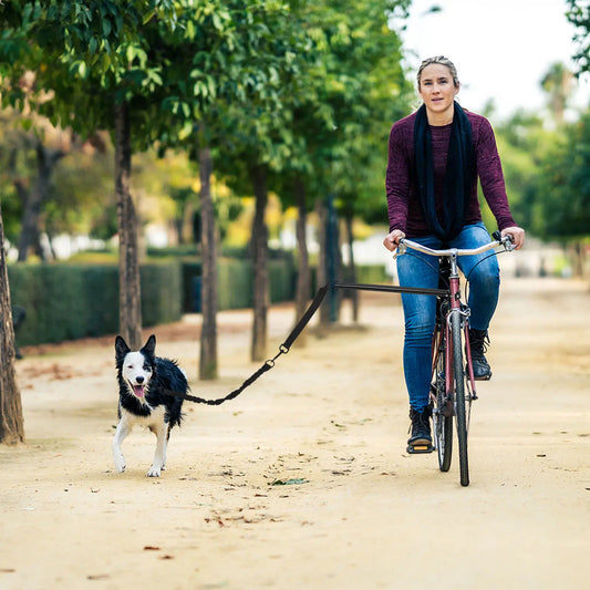 1Set Dog Bike Leash Attachment for Bicycles Heavy Duty Pet Pulling Rope Ergonomic Indoor Outdoor Use Safe Walking